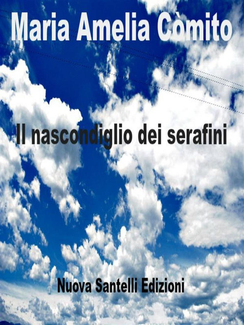 Big bigCover of Il nascondiglio dei serafini