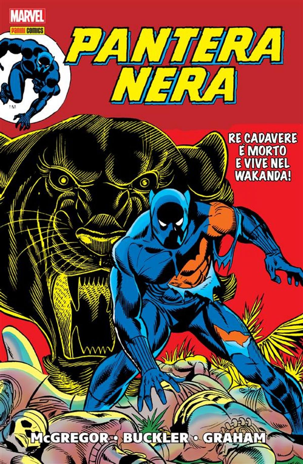 Big bigCover of Pantera Nera. La rabbia della Pantera Nera (Marvel History)