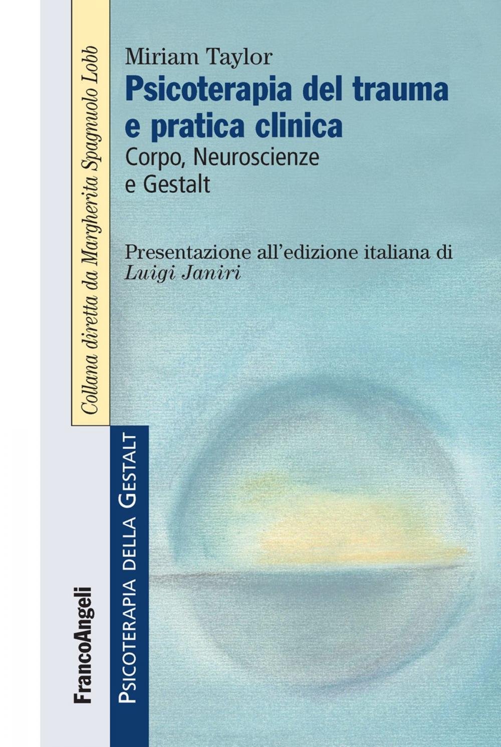 Big bigCover of Psicoterapia del trauma e pratica clinica. Corpo, Neuroscienze e Gestalt