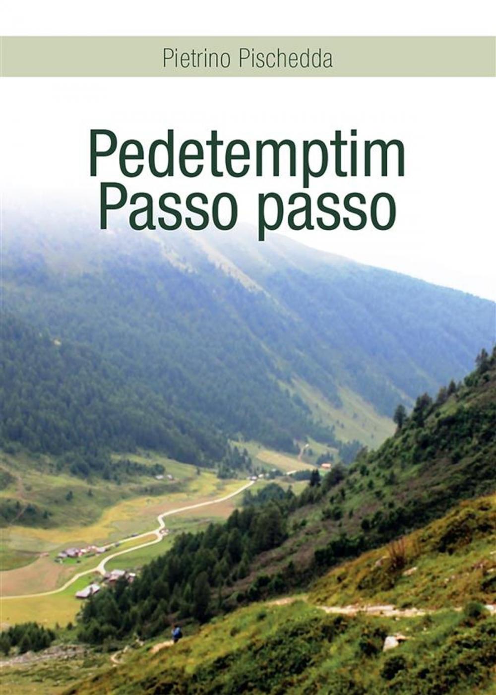 Big bigCover of Pedetemptim - Passo passo