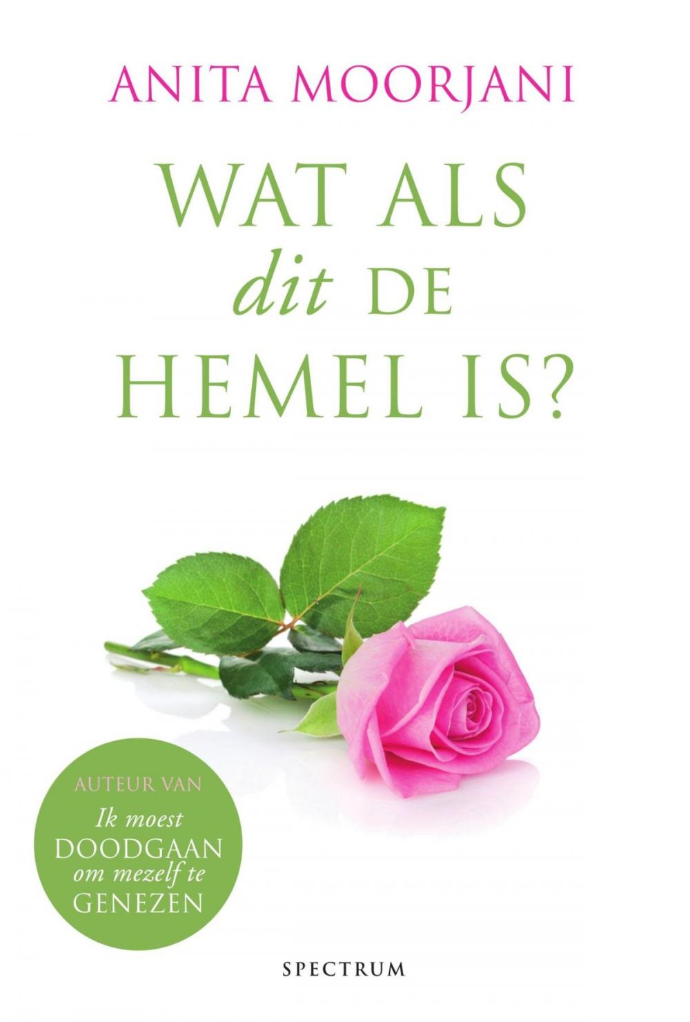 Big bigCover of Wat als dit de hemel is?