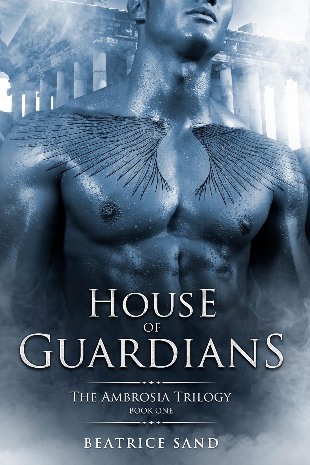 Big bigCover of House of Guardians
