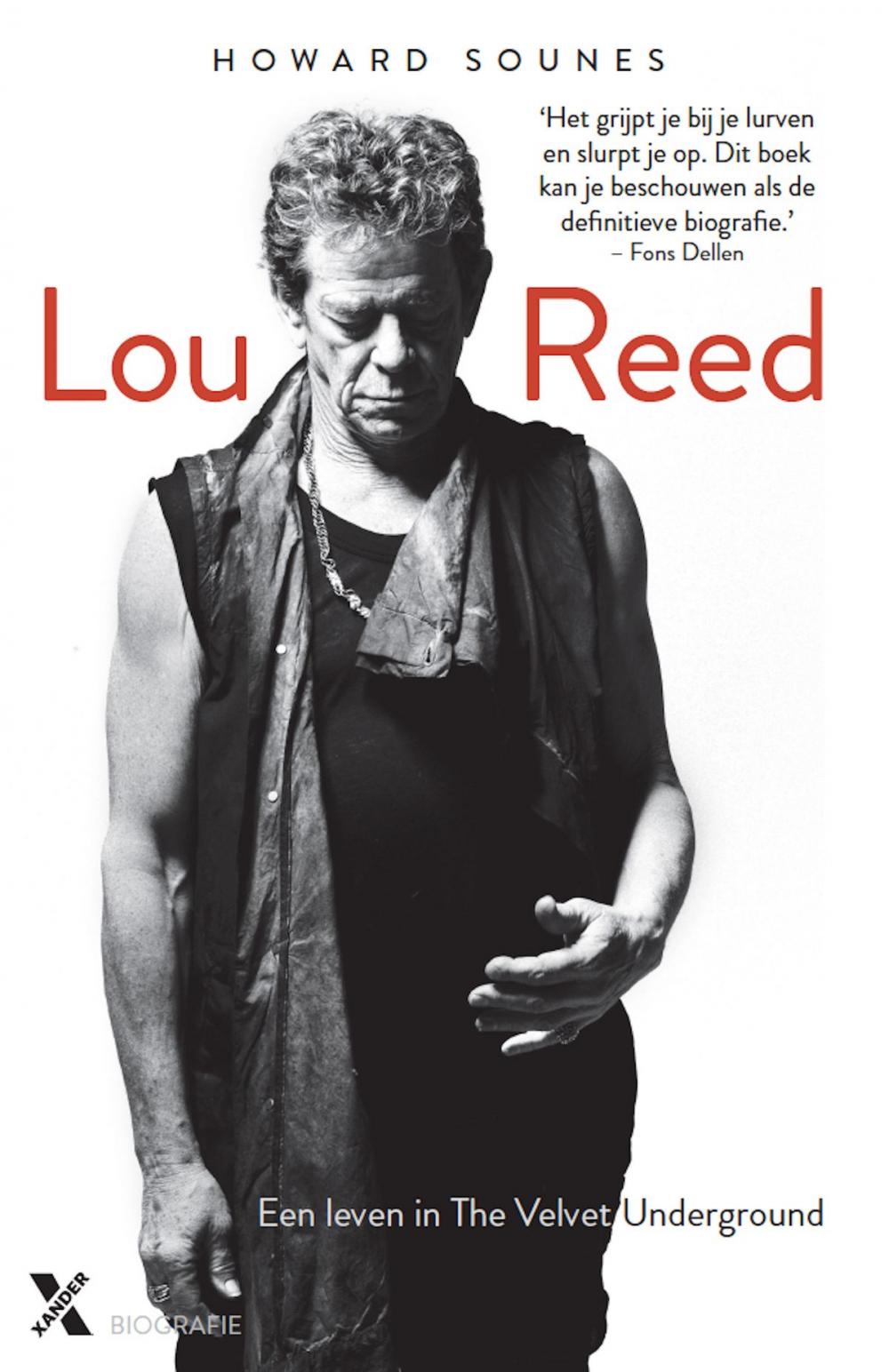 Big bigCover of Lou Reed