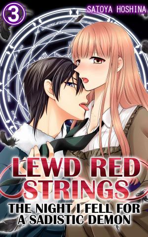 Cover of Lewd Red Strings Vol.3 (TL Manga)