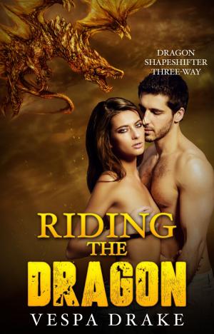 Cover of the book Riding the Dragon by Harry Heyoka