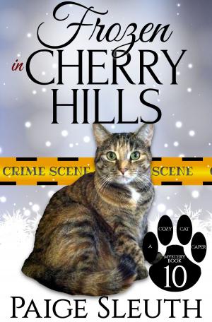 Cover of the book Frozen in Cherry Hills by Ann S. Marie