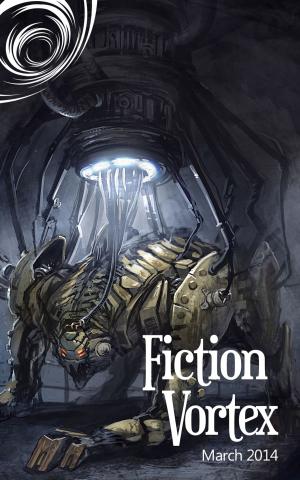 Cover of the book Fiction Vortex by Antonella Aigle