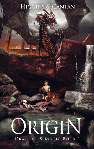 Cover of the book Origin by John Jackson