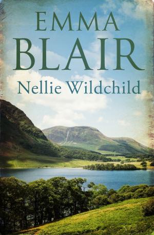 Cover of the book Nellie Wildchild by Adam Blake