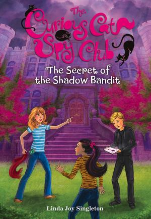 Book cover of The Secret of the Shadow Bandit