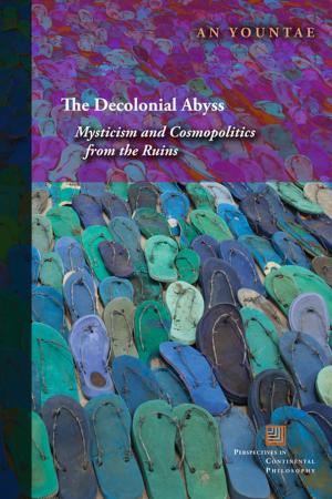 Cover of the book The Decolonial Abyss by Nasrin Qader