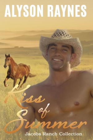 Book cover of Kiss of Summer