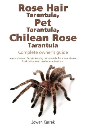 Cover of Rose Hair Tarantula, Pet Tarantula, Chilean Rose Tarantula