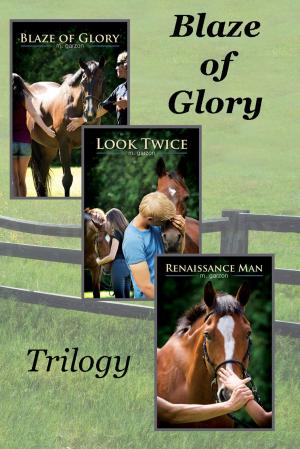 bigCover of the book Blaze of Glory trilogy boxset by 