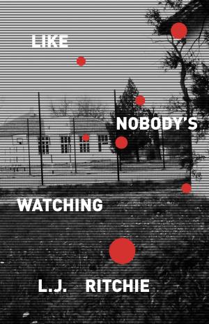 Cover of Like Nobody's Watching