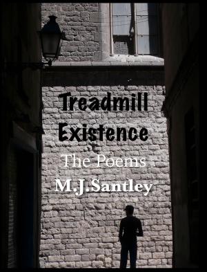 bigCover of the book Treadmill Existence by 