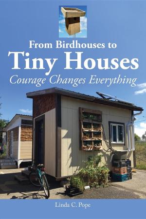 Book cover of From Birdhouses to Tiny Houses