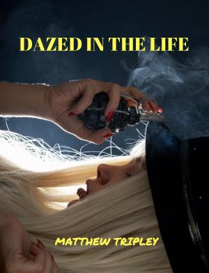 Cover of Dazed In The Life