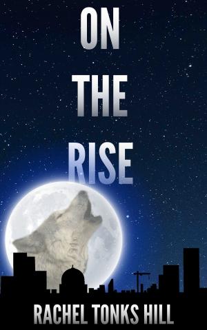 Cover of the book On the Rise by Alexander Land