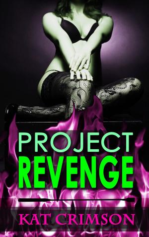 Cover of the book Project Revenge: Punishment for the Cheater by Guy Quigley
