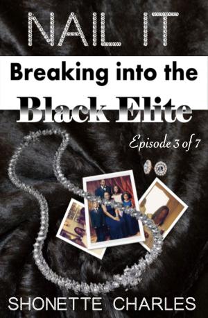 Cover of the book Episode 3 of 7 - Nail It: Breaking into the Black Elite (De-BUST, then a Debut) by Lisa McGuinness