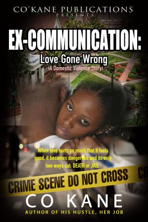 Cover of the book Ex-Communication: Love Gone Wrong by Dawn Marsanne