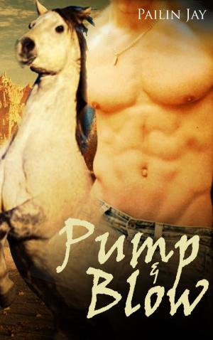 Cover of Pump & Blow