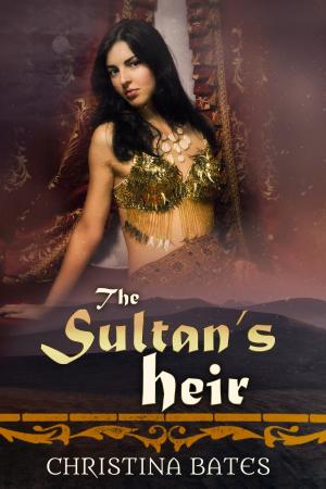 Cover of the book The Sultan's Heir by Tammi Sauer