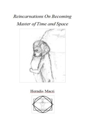 Cover of Reincarnations On Becoming Master of Time and Space