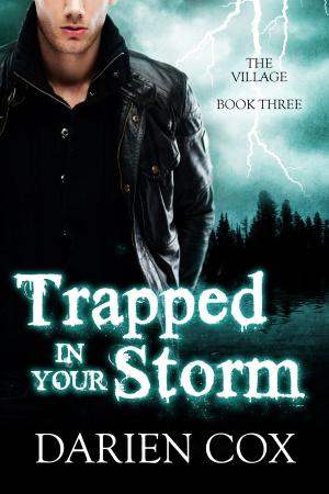 Book cover of Trapped in Your Storm: The Village - Book Three