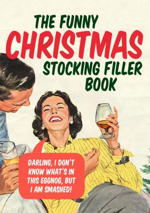 Cover of the book The Funny Christmas Stocking Filler Book by M Malone