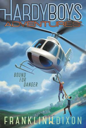 Cover of the book Bound for Danger by Deborah A. Levine, JillEllyn Riley