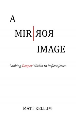 Cover of the book A Mirror Image by Katherine George