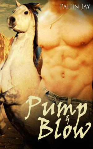 Cover of the book Pump And Blow by J. Kathleen Cheney
