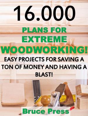 Cover of the book 16.000 Plans For Extreme Woodworking: Easy Projects For Saving a Ton of Money and Having a Blast! by 