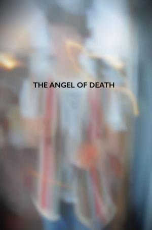 Cover of the book The Angel Of Death by Barry Hughart