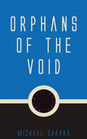 Cover of the book Orphans of the Void by Michael Vetter