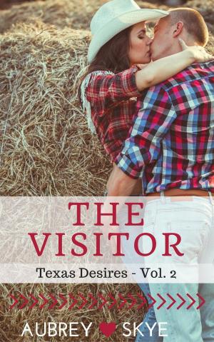 Cover of the book The Visitor (Texas Desires - Vol. 2) by Aubrey Skye