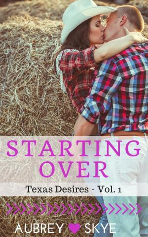 Cover of the book Starting Over (Texas Desires - Vol. 1) by Roger Kent