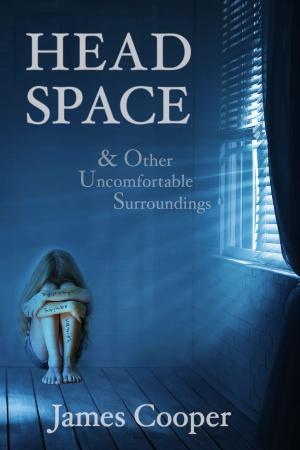 Cover of the book Head Space & Other Uncomfortable Surroundings by M.S. Hund