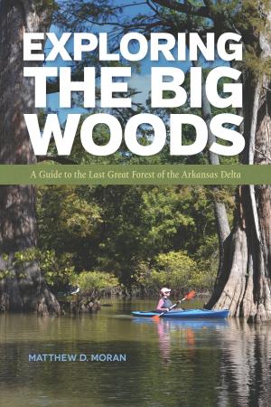 Book cover of Exploring the Big Woods