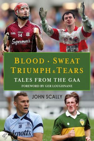 Cover of the book Blood, Sweat, Triumph & Tears by Norman Watson