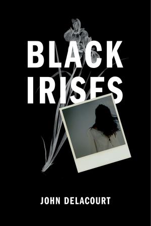 Cover of the book Black Irises by Christopher Canniff
