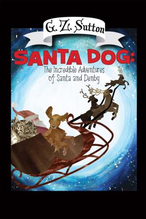Book cover of Santa Dog