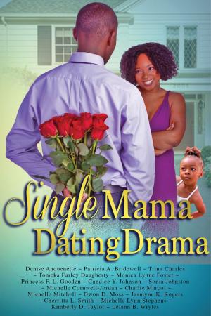 Cover of the book Single Mama Dating Drama by Stacey Evans Morgan