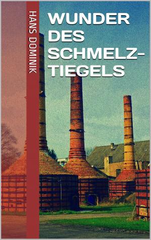 Cover of the book Wunder des Schmelztiegels by Oswald Spengler