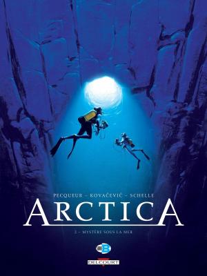 Cover of the book Arctica T02 by Robert Kirkman, Charlie Adlard, Stefano Gaudiano