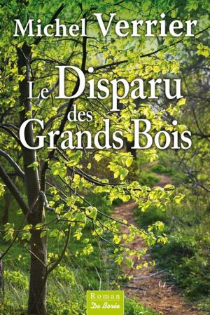 Cover of the book Le disparu des grands bois by Karine Lebert