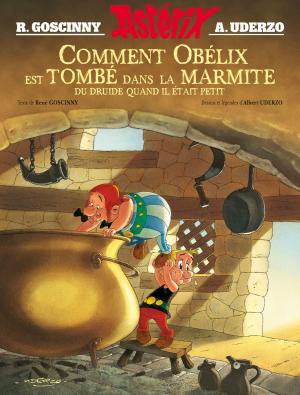 Book cover of Astérix - Comment Obélix est tombé dans la marmite quand il était petit