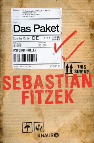 Cover of the book Das Paket by James Lindsay, Marc Lindsay